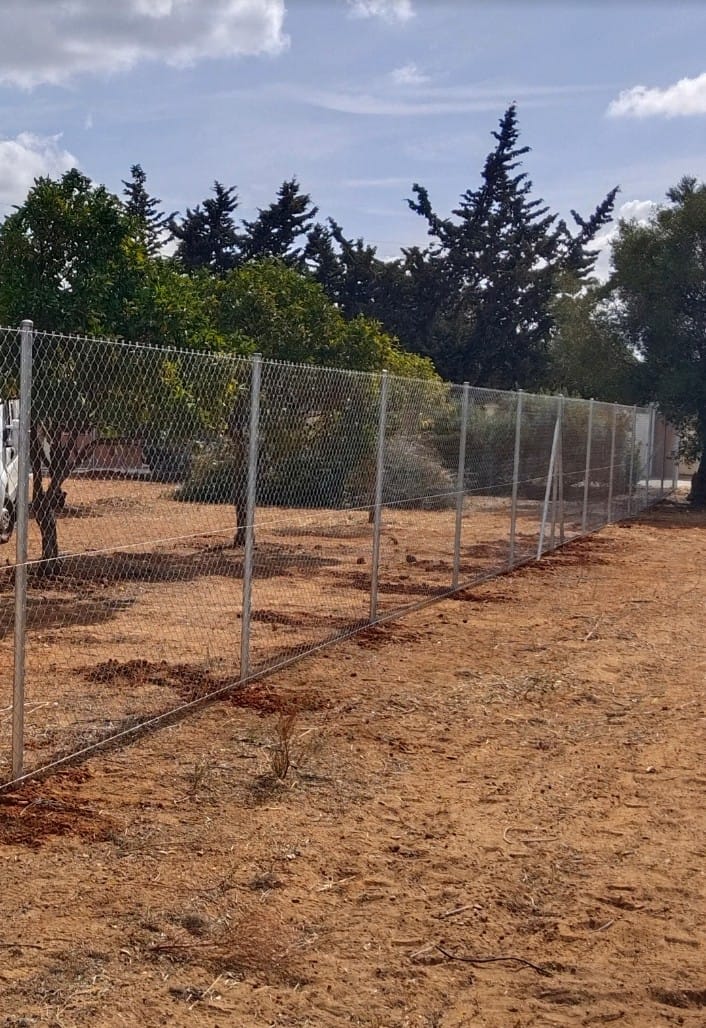 Malla Simple Torsión